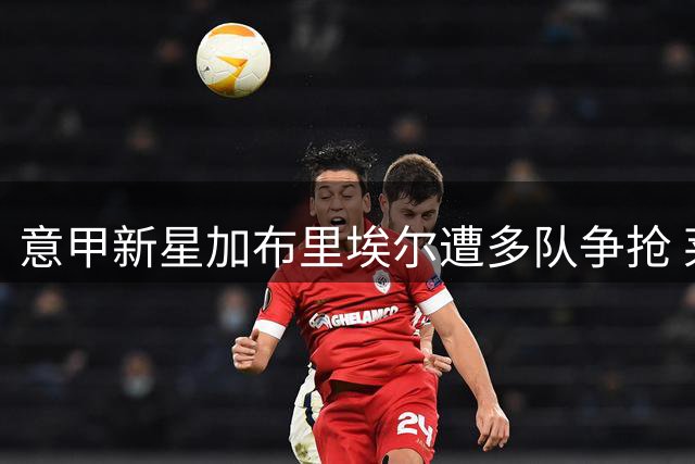 意甲新星加布里埃尔遭多队争抢 莱切开价3千万欧不放人