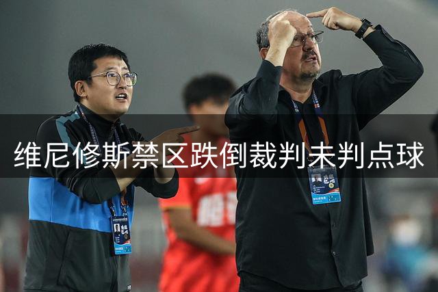 维尼修斯禁区跌倒裁判未判点球