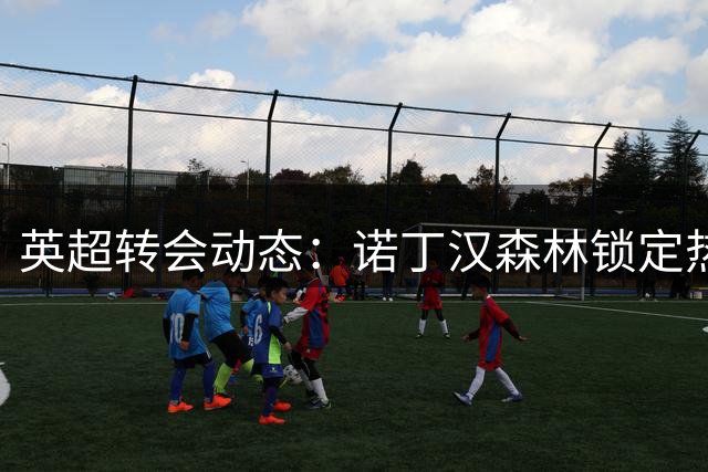 英超转会动态：诺丁汉森林锁定热刺锋线弃将 索兰克或成今夏引援目标